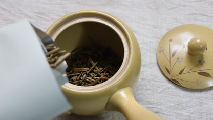 Japanese Sencha Green Tea Starter Set from Japan — Tokoname Kyusu Teapot, Yunomi Cups & Tea Caddy, with English Guide