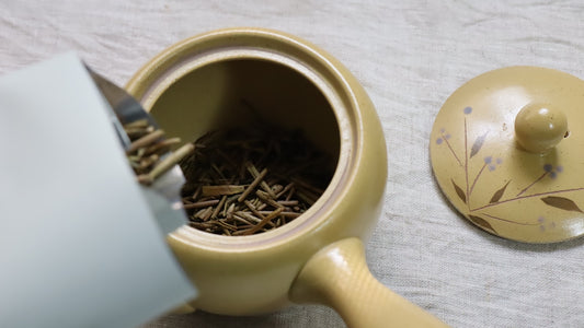 Japanese Sencha Green Tea Starter Set from Japan — Tokoname Kyusu Teapot, Yunomi Cups & Tea Caddy, with English Guide